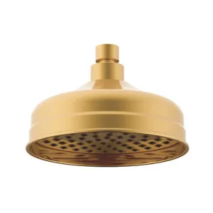 Eternal Shower Rose Brushed | Made From Brass/Brushed Brass By ADP by ADP, a Showers for sale on Style Sourcebook