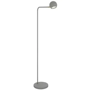 Jeremy Iron Floor Lamp, Grey by Telbix, a Floor Lamps for sale on Style Sourcebook