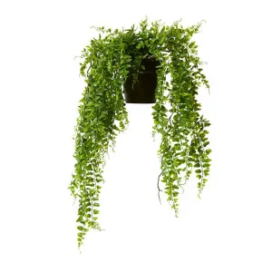 Fern Hanging Plant - 20 x 30 x 65cm by Elme Living, a Plants for sale on Style Sourcebook