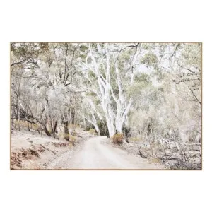 Eucalyptus Track Box Framed Canvas in 150 x 100cm by OzDesignFurniture, a Painted Canvases for sale on Style Sourcebook