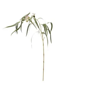 Eucy Flowering Spray - 112cm by James Lane, a Plants for sale on Style Sourcebook