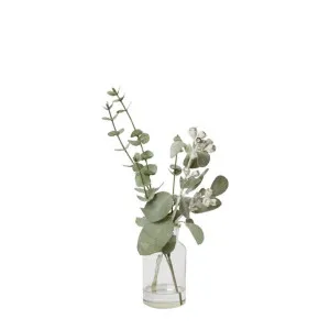 Tetragona Mix  - Specimen Bottle - 18cm x 18cm x 40cm by James Lane, a Plants for sale on Style Sourcebook