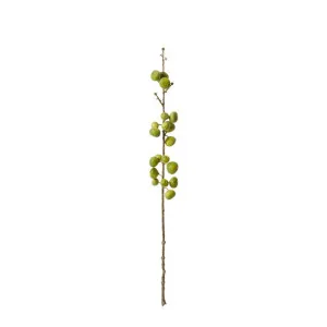 Fig Stem - 15cm x 15cm x 74cm by James Lane, a Plants for sale on Style Sourcebook