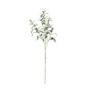 Olive Spray - 81cm by James Lane, a Plants for sale on Style Sourcebook
