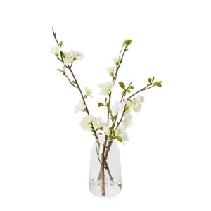 Cherry Blossom - Harvan Vase - 12 x 14 x 44 cm by James Lane, a Plants for sale on Style Sourcebook