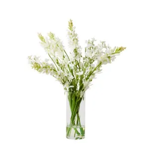 Tuberose Larkspur - Vera Vase Small by James Lane, a Plants for sale on Style Sourcebook