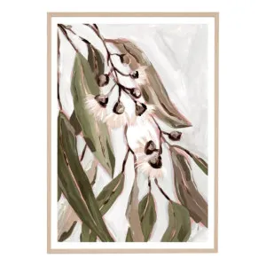 Gumnut Flowers 1 Framed Print in 62 x 87cm by OzDesignFurniture, a Prints for sale on Style Sourcebook