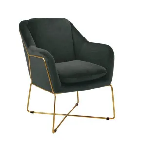 Studio Velvet Armchair - Charcoal Grey by Darcy & Duke, a Chairs for sale on Style Sourcebook