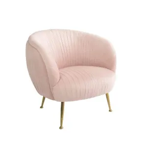 Paris Velvet Armchair - Rose Water by Darcy & Duke, a Chairs for sale on Style Sourcebook