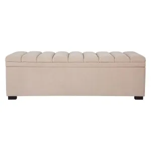 Soho Storage Bench Ottoman - Nude Velvet by CAFE Lighting & Living, a Ottomans for sale on Style Sourcebook