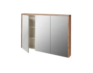 Staples Mirror Cabinet by Loughlin Furniture, a Vanity Mirrors for sale on Style Sourcebook