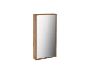 Baxter Mirror Cabinet by Loughlin Furniture, a Vanity Mirrors for sale on Style Sourcebook