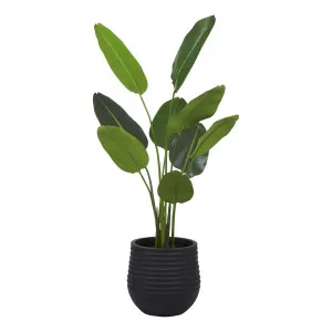 Bird of Paradise Planter 107x150cm in Green/Black by OzDesignFurniture, a Plant Holders for sale on Style Sourcebook