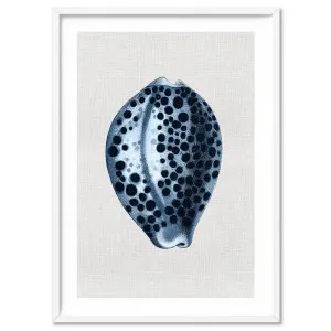 Sea Shells in Navy | Paua Shell - Art Print by Print and Proper, a Prints for sale on Style Sourcebook