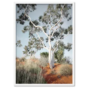 Ghost Gum on Red Earth - Art Print by Print and Proper, a Prints for sale on Style Sourcebook