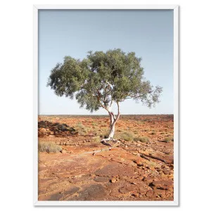 Lone Gumtree Outback View II - Art Print by Print and Proper, a Prints for sale on Style Sourcebook