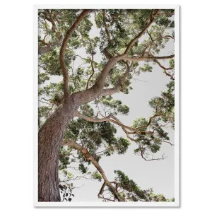 Majestic Gum II - Art Print by Print and Proper, a Prints for sale on Style Sourcebook