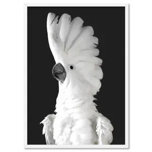 White Cockatoo on Charcoal Background - Art Print by Print and Proper, a Prints for sale on Style Sourcebook