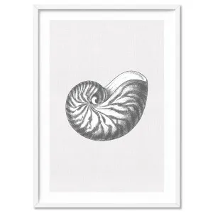 Sea Shells in Grey | Nautilus Shell  - Art Print by Print and Proper, a Prints for sale on Style Sourcebook