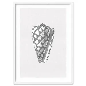 Sea Shells in Grey | Cone Shell - Art Print by Print and Proper, a Prints for sale on Style Sourcebook