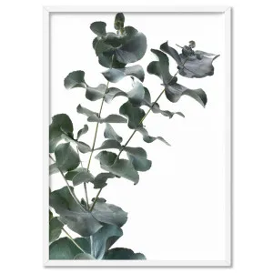 Eucalyptus Gum Leaves IV - Art Print by Print and Proper, a Prints for sale on Style Sourcebook