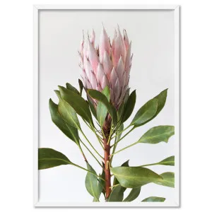 Queen Protea Portrait - Art Print by Print and Proper, a Prints for sale on Style Sourcebook