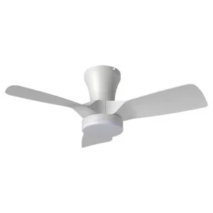 Kiwi Ceiling Fan with Dimmable CCT LED Light, 80cm/32'', White by Vencha Lighting, a Ceiling Fans for sale on Style Sourcebook