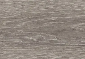 MiPlank- Silver Birch  (MiPlank Acoustic) by MiPlank, a Light Neutral Vinyl for sale on Style Sourcebook