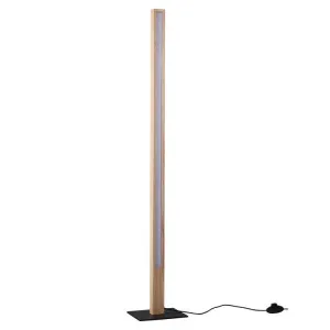 Rectara Wood & Iron LED Floor Lamp by Lexi Lighting, a Floor Lamps for sale on Style Sourcebook