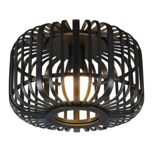 Canaya Bamboo Flush Mount Ceiling Light, Black by Lexi Lighting, a Spotlights for sale on Style Sourcebook