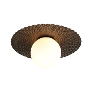 Orbis Iron & Glass Wall / Ceiling Light, Gold / Black by Lexi Lighting, a Spotlights for sale on Style Sourcebook