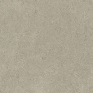 Valencia Beige Text Tile by Beaumont Tiles, a Outdoor Tiles & Pavers for sale on Style Sourcebook