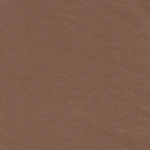 Tennant Plus Oak Natural Effect by Wortley, a Leather for sale on Style Sourcebook