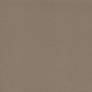 Principal Plus Mocha by Wortley, a Vinyl for sale on Style Sourcebook