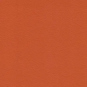 Principal Plus Tangerine by Wortley, a Vinyl for sale on Style Sourcebook