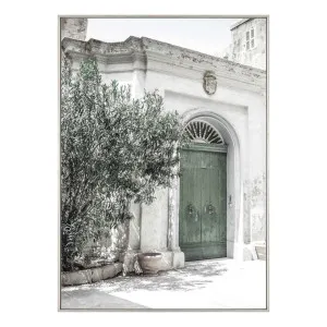 Green Doors Box Framed Canvas in 61 x 84cm by OzDesignFurniture, a Prints for sale on Style Sourcebook