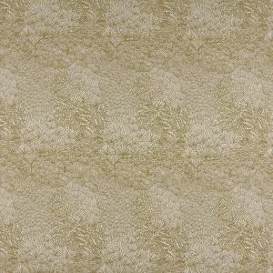 Valloni Ochre by Ashley Wilde, a Fabrics for sale on Style Sourcebook