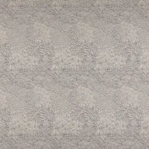 Valloni Slate by Ashley Wilde, a Fabrics for sale on Style Sourcebook