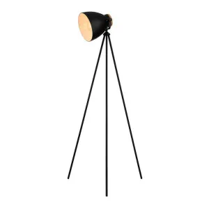 Edithvale Steel Tripod Floor Lamp by Mercator, a Floor Lamps for sale on Style Sourcebook