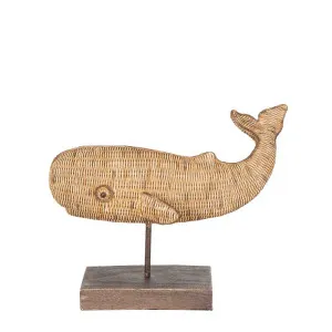 Atlantis Whale On Stand Large by Florabelle Living, a Statues & Ornaments for sale on Style Sourcebook