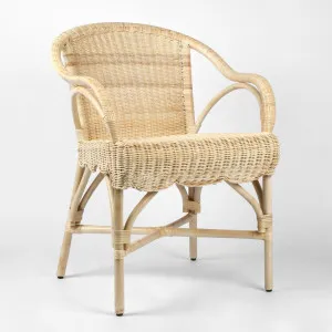 Belle Rattan Armchair Natural by Florabelle Living, a Chairs for sale on Style Sourcebook