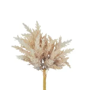 Flocked Astilbe Bush 25Cm Cream by Florabelle Living, a Plants for sale on Style Sourcebook