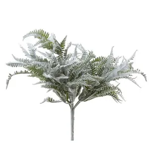 Fern Lamb Bush 45Cm by Florabelle Living, a Plants for sale on Style Sourcebook