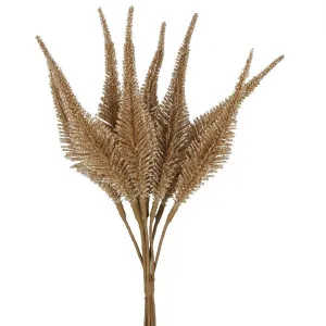 Biswa Corn Bundle Gold by Florabelle Living, a Plants for sale on Style Sourcebook