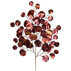 Voltan Metallic Eucalyptus Stem Bronze by Florabelle Living, a Plants for sale on Style Sourcebook