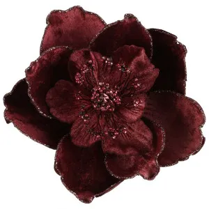 Plume Velvet Clip On Magnolia Burgundy by Florabelle Living, a Plants for sale on Style Sourcebook