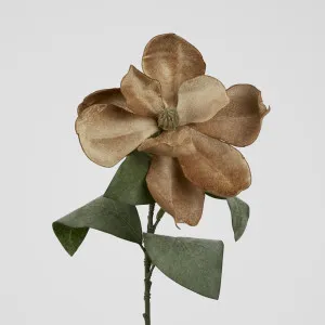 Grandiflora Velvet Magnolia Stem Brown by Florabelle Living, a Plants for sale on Style Sourcebook