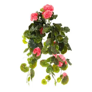 Geranium Bush Trail 60Cm Peach by Florabelle Living, a Plants for sale on Style Sourcebook