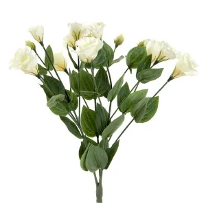 Lisianthus Bush 49Cm Cream by Florabelle Living, a Plants for sale on Style Sourcebook