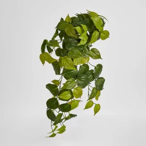 Hanging Philodendron Bush Real Touch by Florabelle Living, a Plants for sale on Style Sourcebook